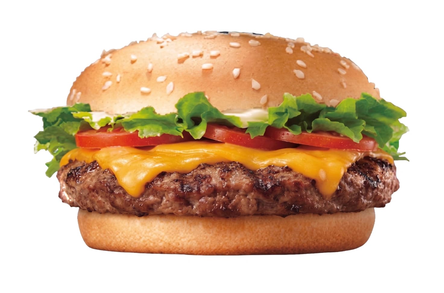 Cheese burger